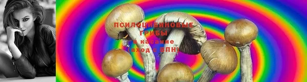 мдпв Бородино